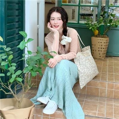 顽皮豹之星