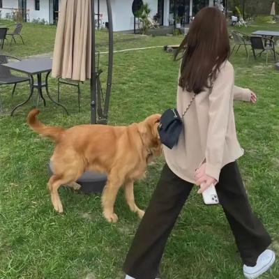 爱情甜宠